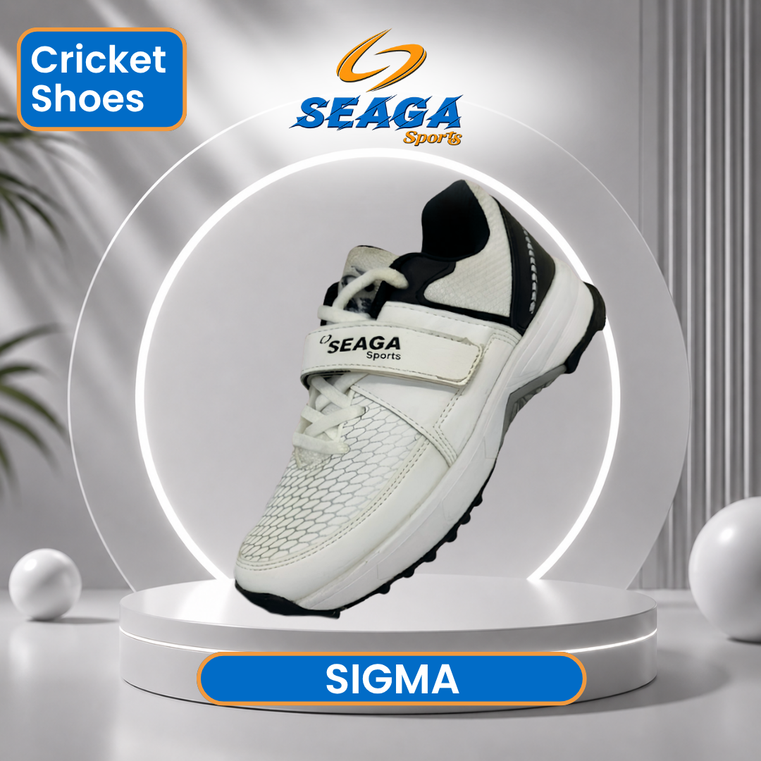 Sigma