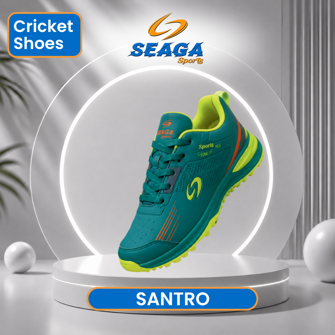 Santro